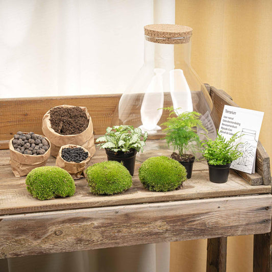 Terrarium – sam xl + led – 32 cm – diy