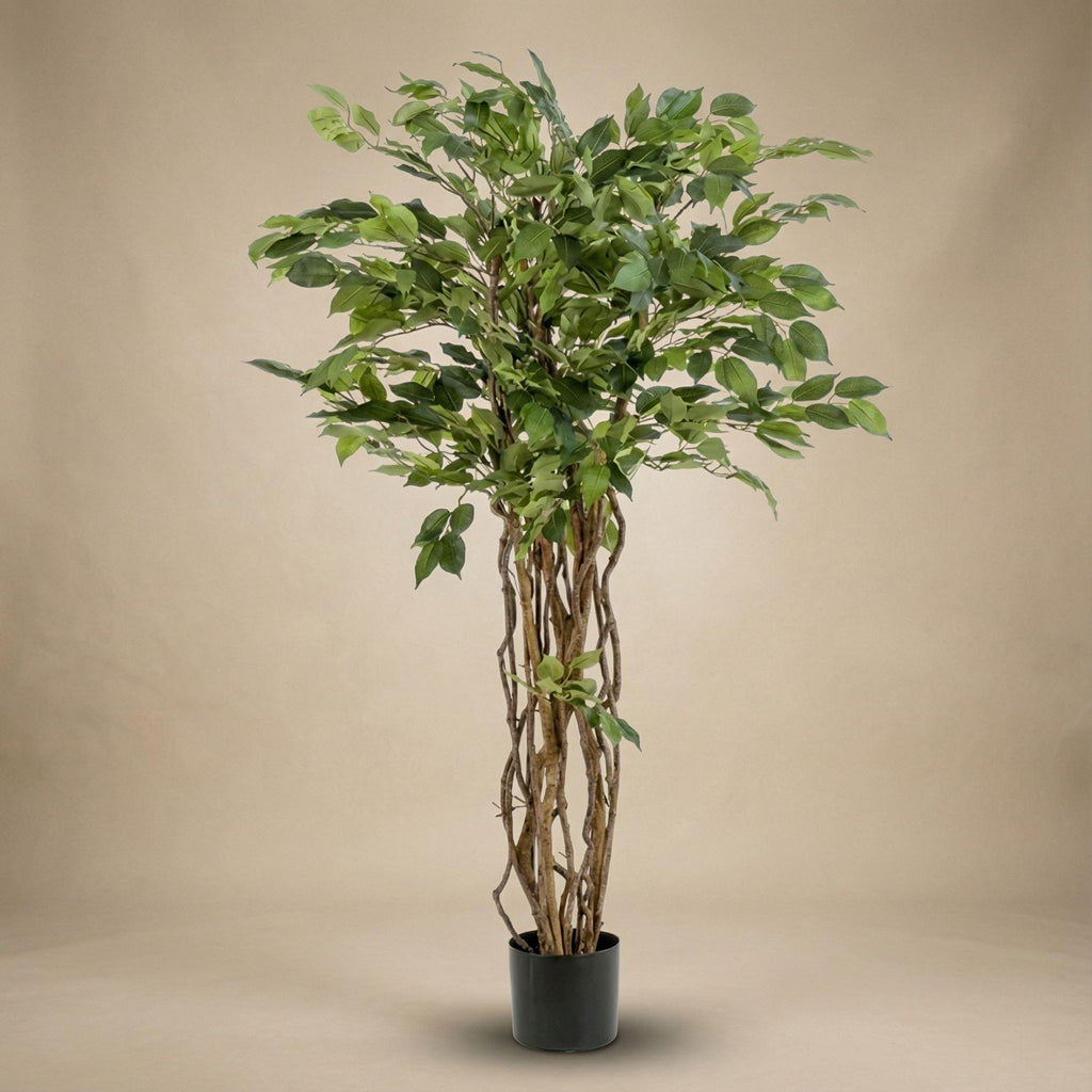 Ficus Liana Kunstbaum 140 cm, Künstliche Pflanze