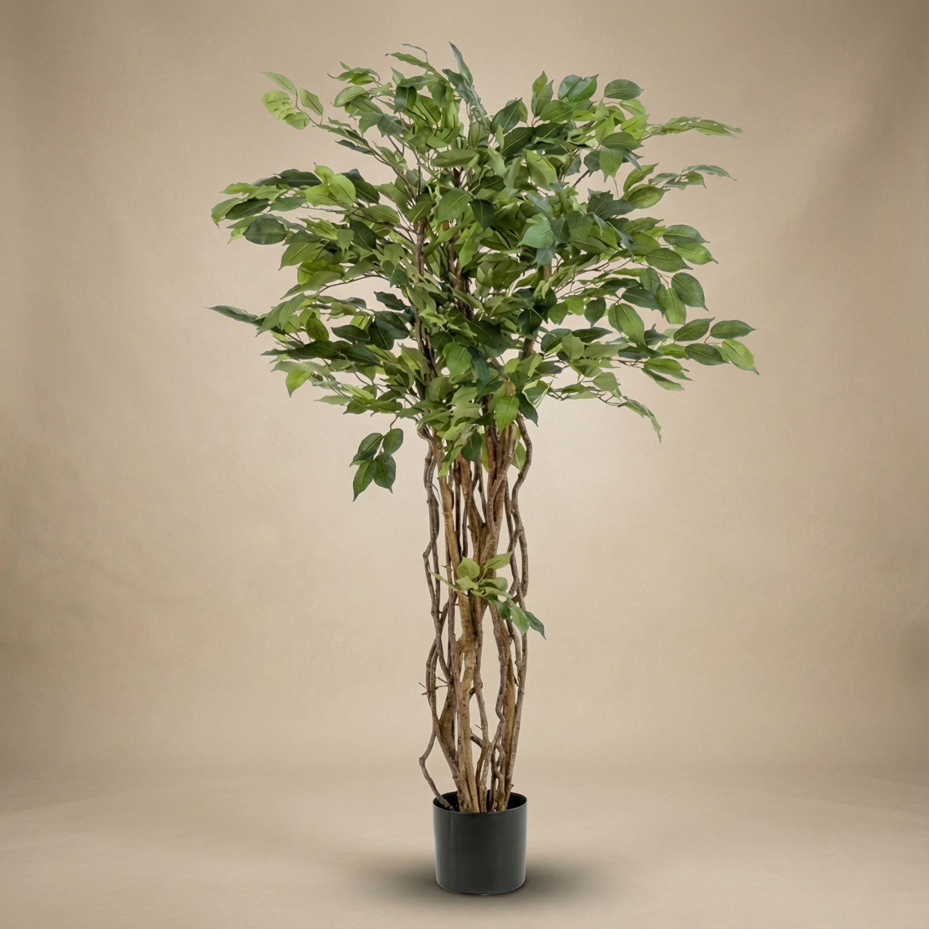 Ficus Liana Kunstbaum 140 cm, Künstliche Pflanze