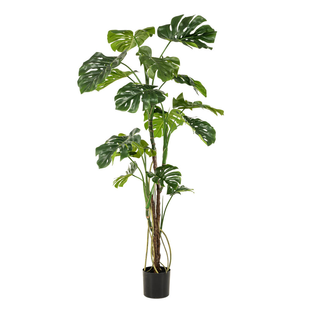 Kunstpflanze, Monstera, Gatenplant, 180 cm