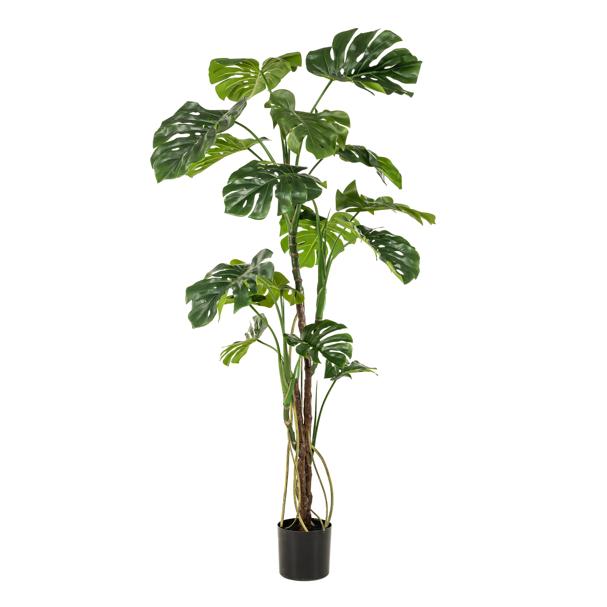 Kunstpflanze, Monstera, Gatenplant, 180 cm
