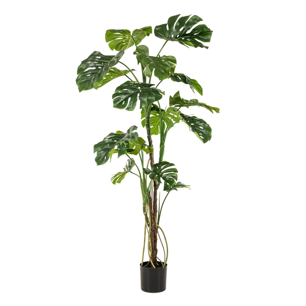 Kunstpflanze, Monstera, Gatenplant, 180 cm