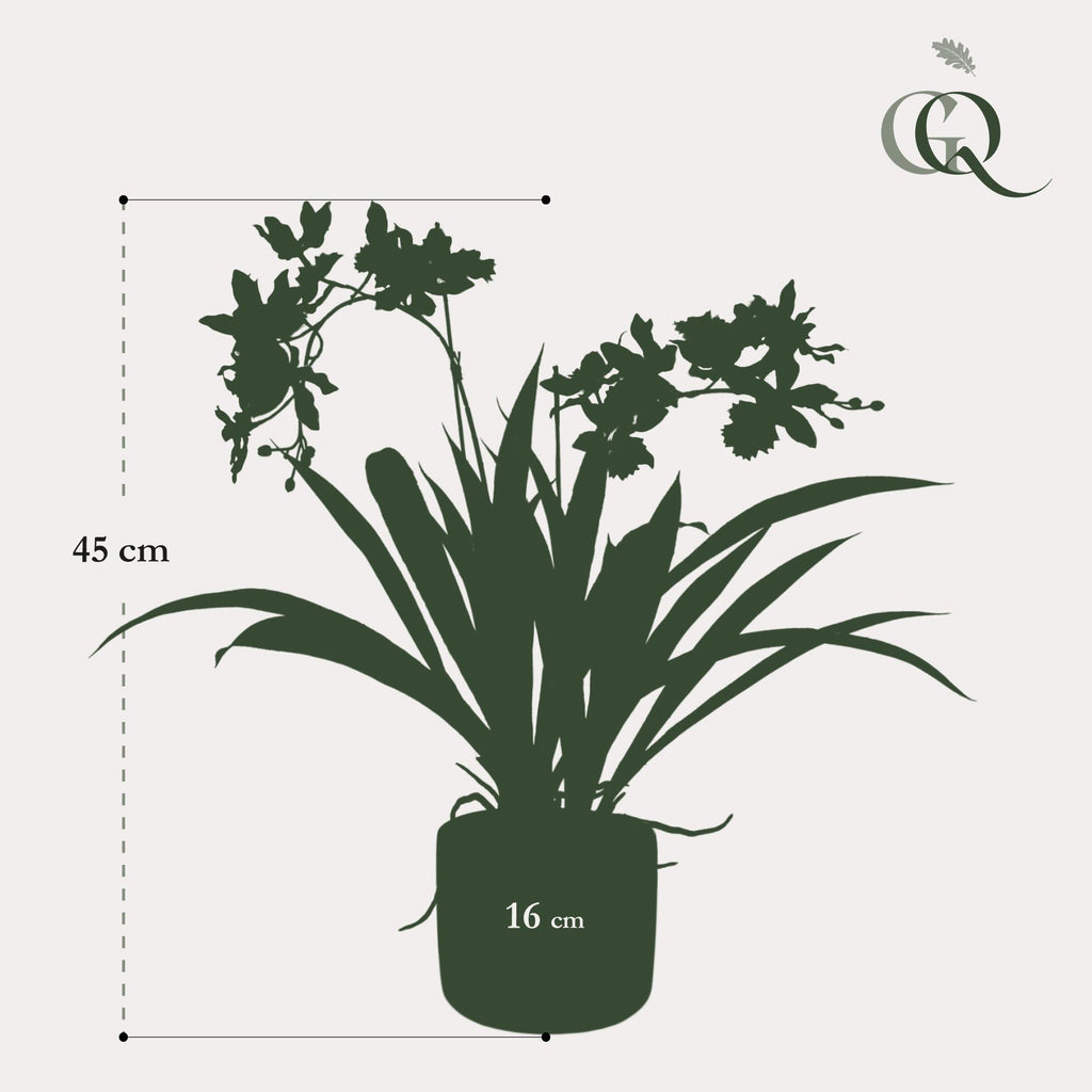 Kunstpflanze, Orchidee, Bordeaux, 45 cm
