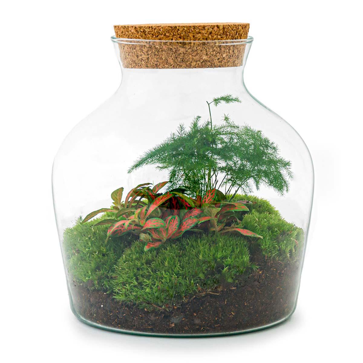 Flaschengarten – Little Joe – 21,5 cm – Rechen + Schaufel + Pinzette + Schere