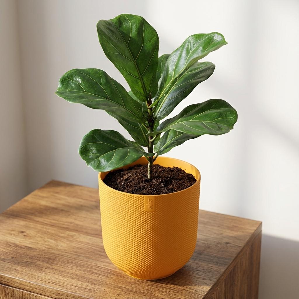 Pot Elho Jazz Round Amber Yellow - D23cm - H21cm