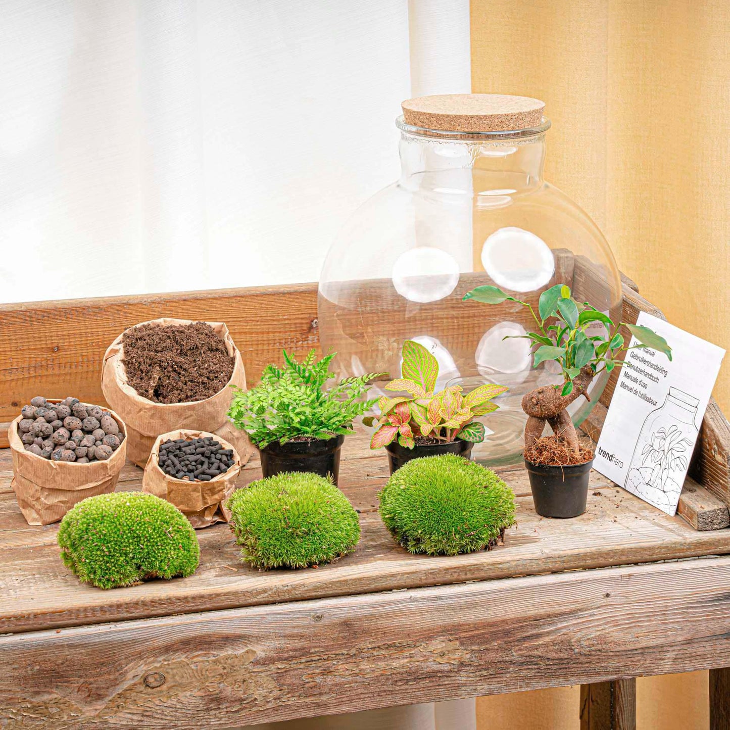 Terrarium „bolder bob“ bonsai + led-beleuchtung im korken