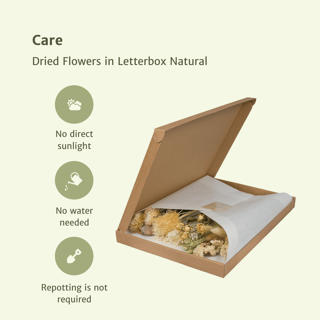 Trockenblumen im Briefkasten, Natural