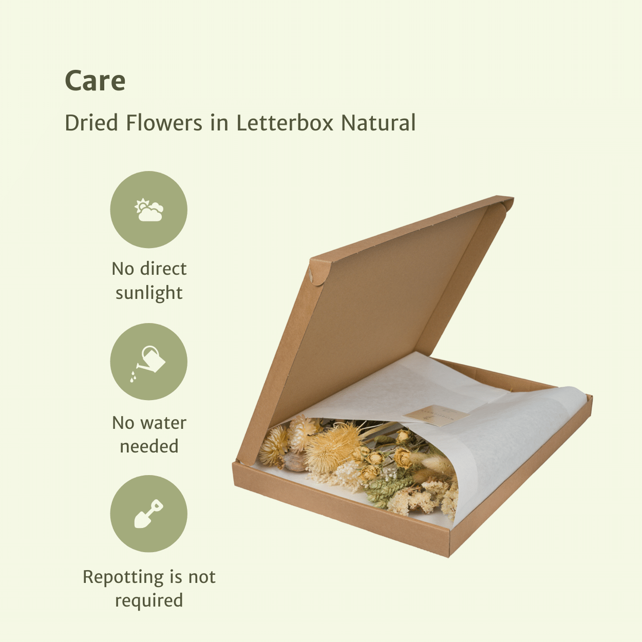 Trockenblumen im Briefkasten, Natural