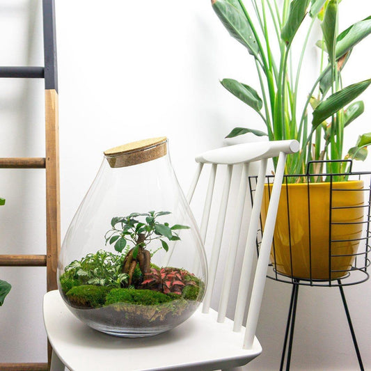 Flaschengarten – Drop XL – 37 cm – Rechen + Schaufel