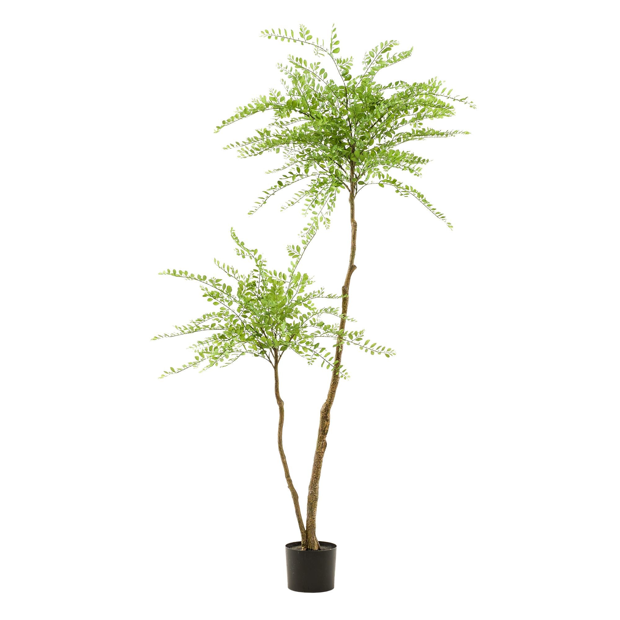 Kunstpflanze, Sophora Baum, Honigbaum, 190 cm