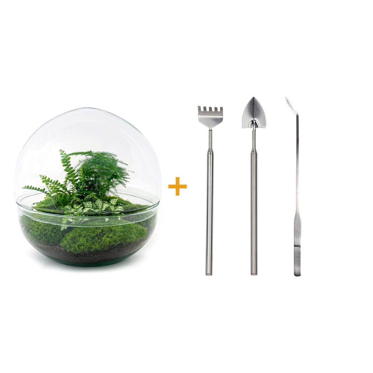 Flaschengarten – Dome XL – 30 cm – Rechen + Schaufel + Pinzette