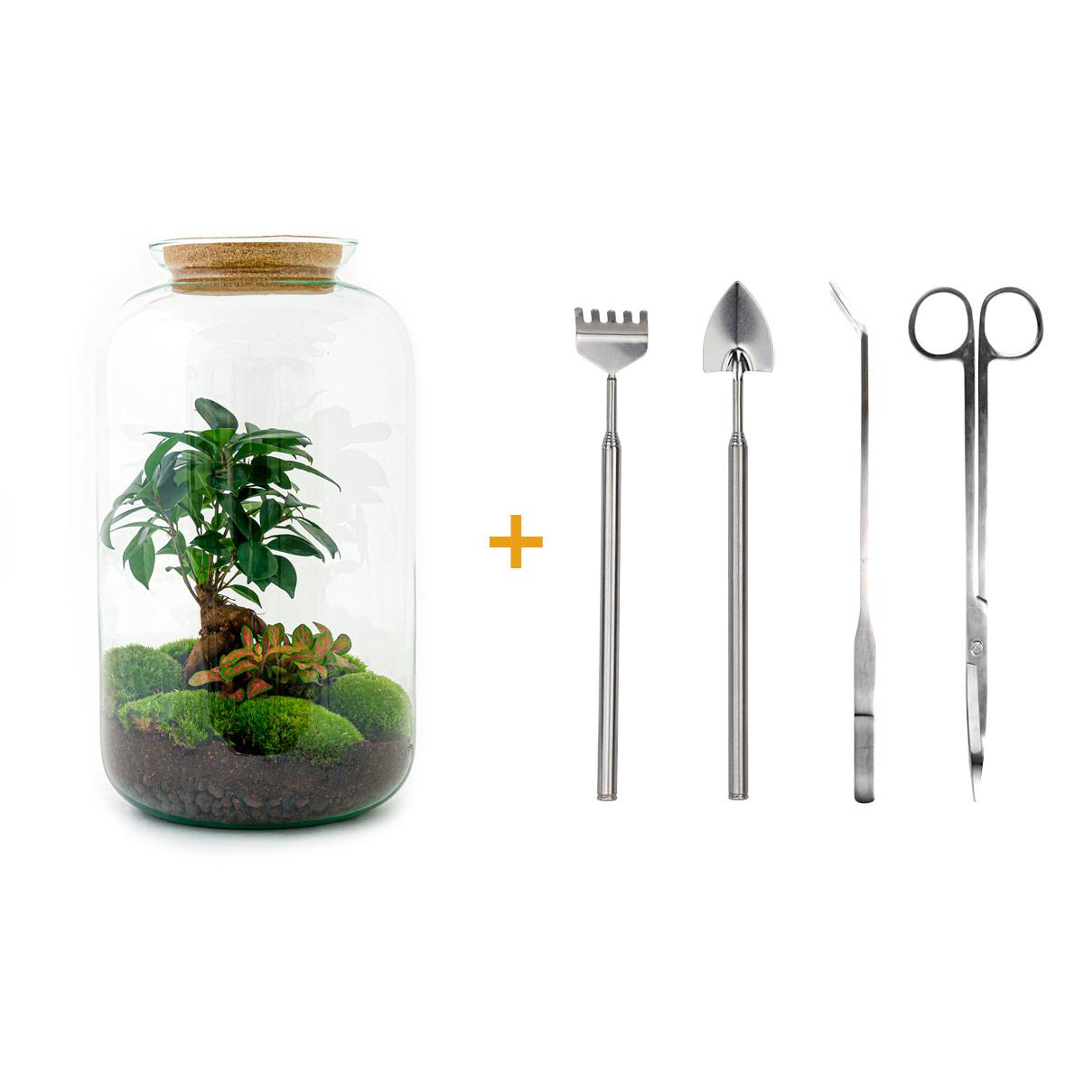 Flaschengarten – sven bonsai – 43 cm – Rechen + Schaufel + Pinzette + Schere