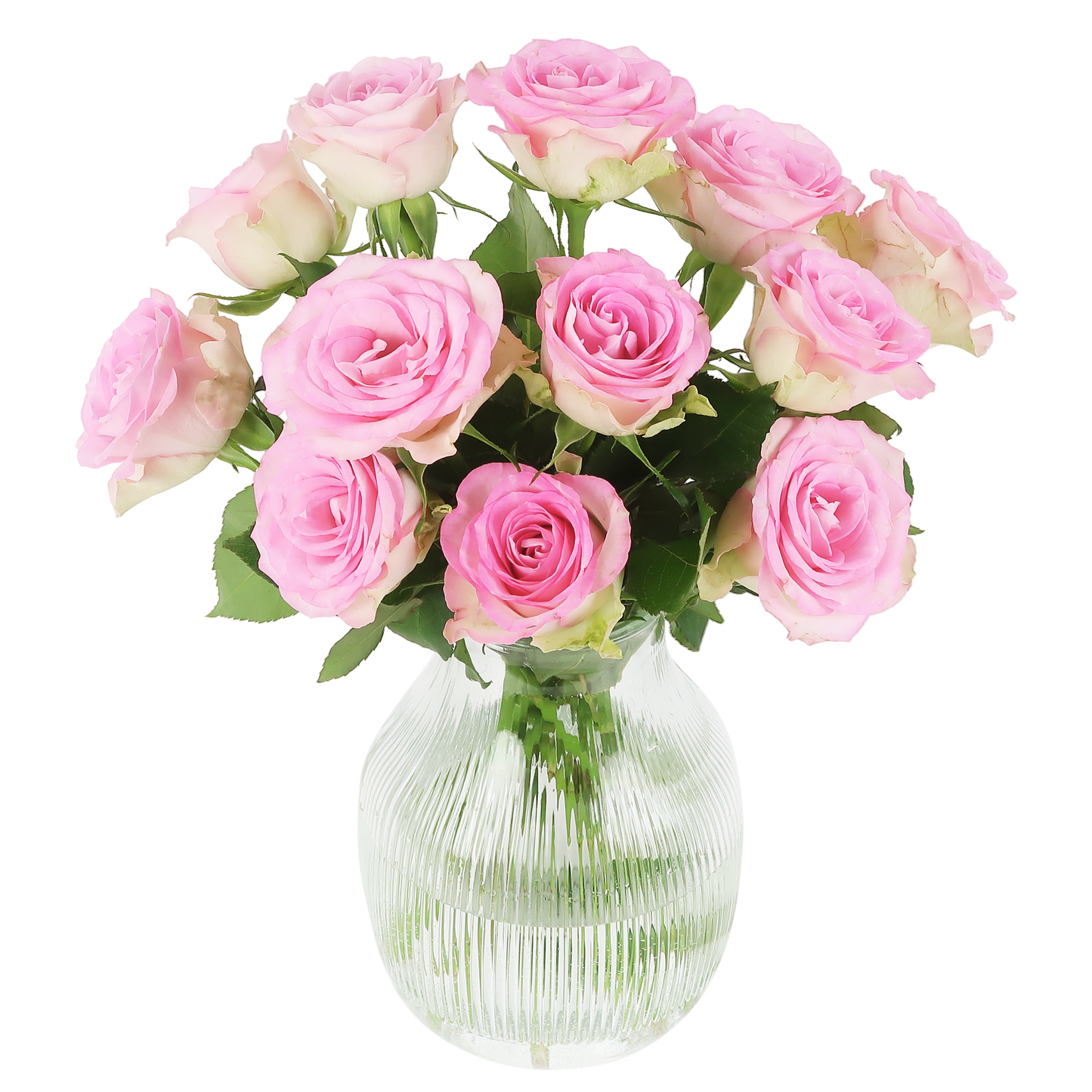 Süße rosen – rosa rosen im briefkastenpaket