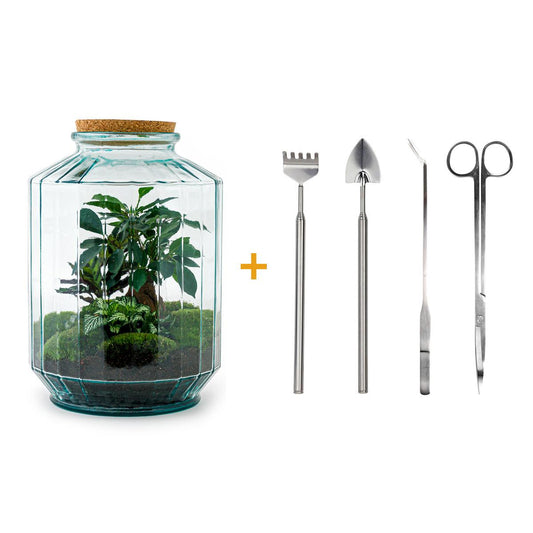 Flaschengarten – Botanischer Garten XL – 35 cm – Rechen + Schaufel + Pinzette + Schere