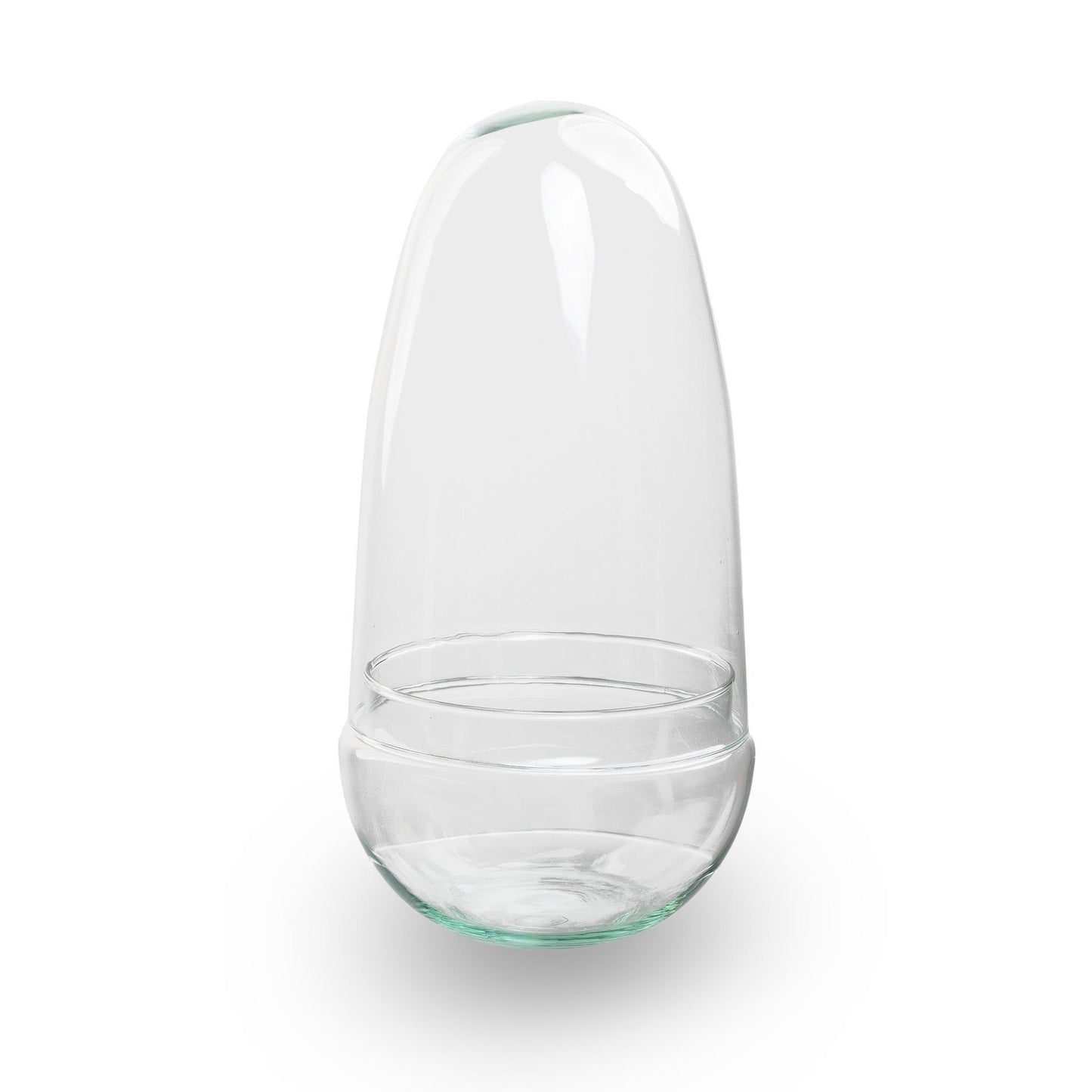 Geschlossenes terrarium – kugelglas – glashaube – ei-form – 26 cm
