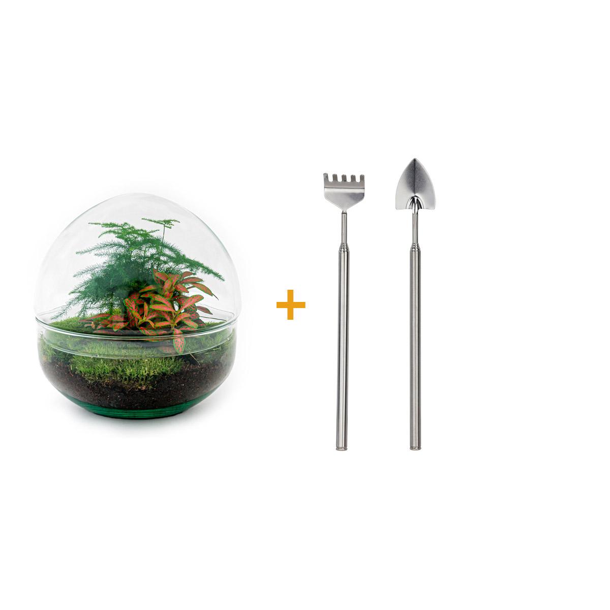 Flaschengarten – Dome Rot – 20 cm – Rechen + Schaufel