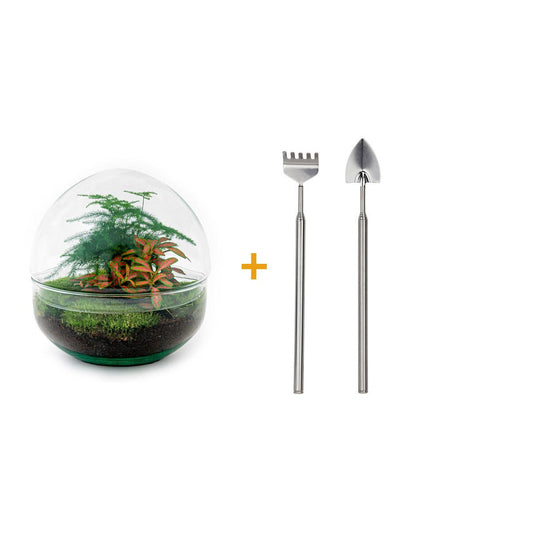 Flaschengarten – Dome Rot – 20 cm – Rechen + Schaufel