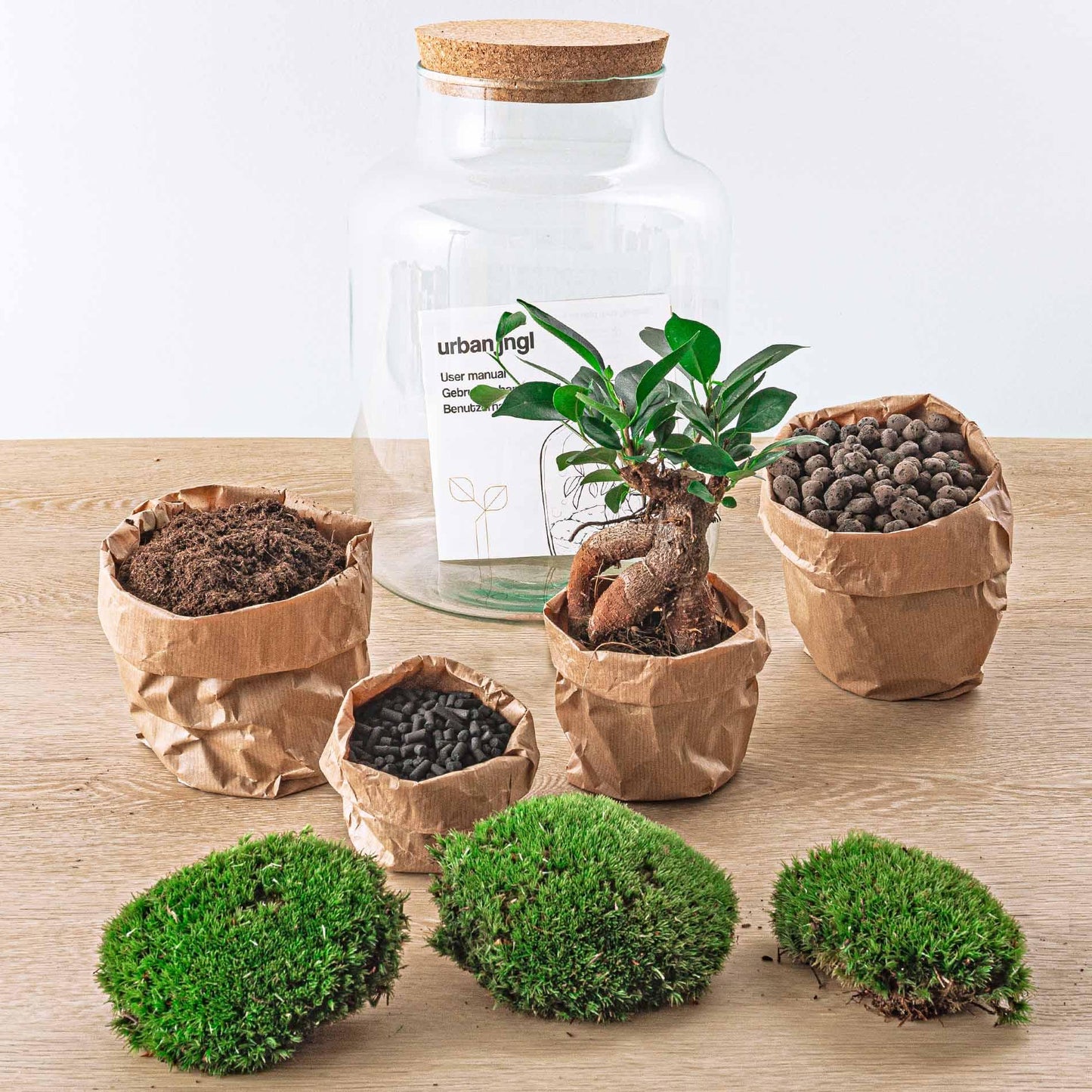 Flaschengarten – Milky mit Bonsai – 30 cm – Rechen + Schaufel + Pinzette + Schere