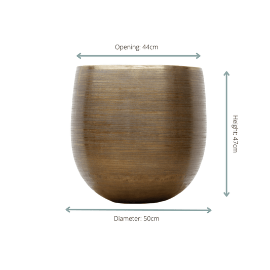 Rowen gold - 50x47 - Botanic-Vibes