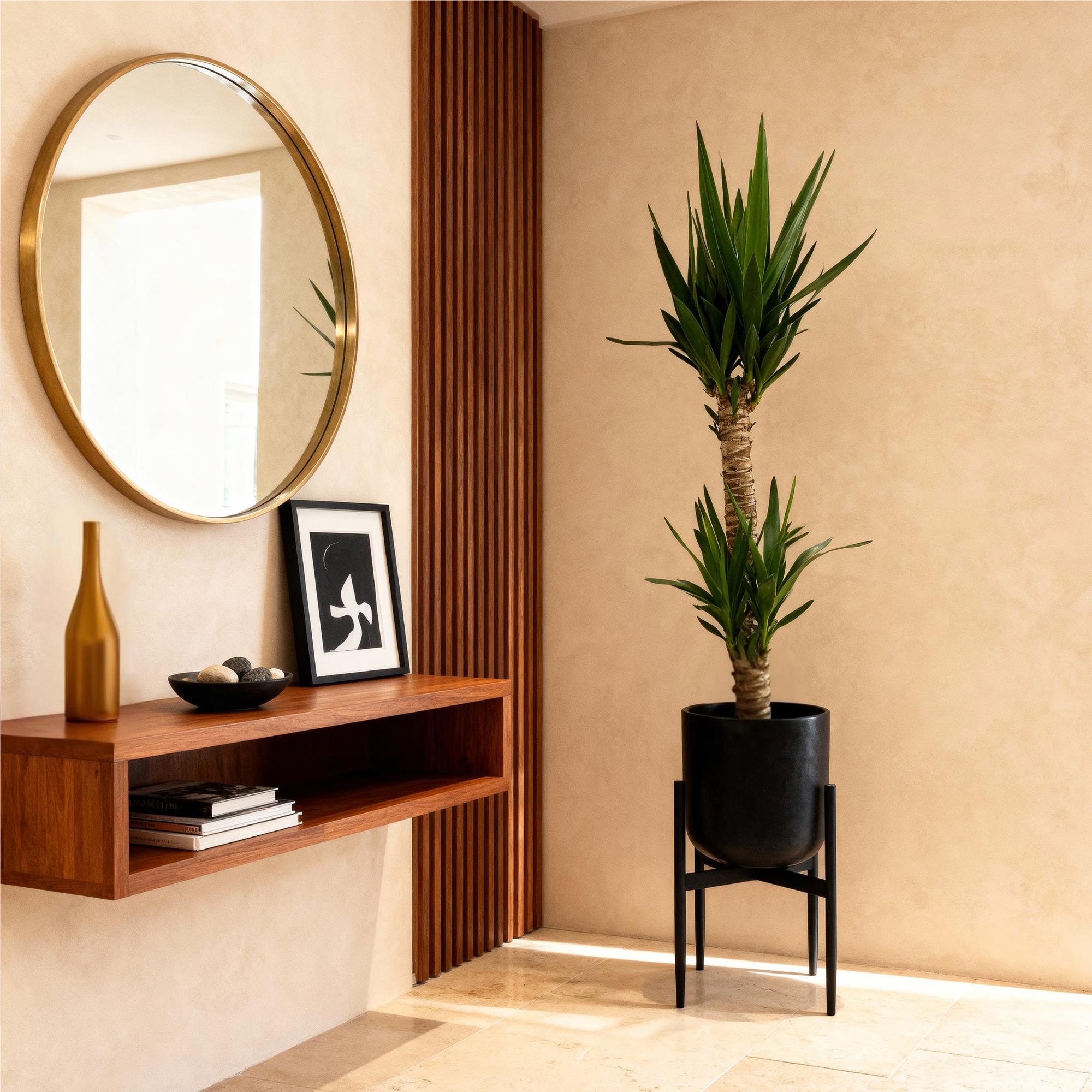 Yucca elephantipes, Yucca, Wenig Pflege, Grün, 1, Topf 19 cm, 95 cm