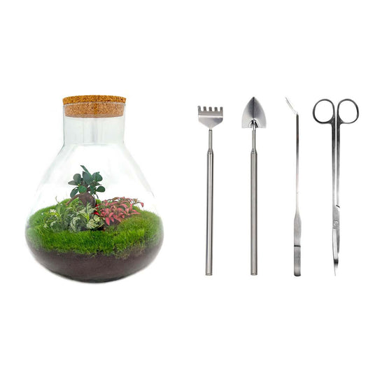 Flaschengarten – sam xl bonsai – 35 cm – Rechen + Schaufel + Pinzette + Schere