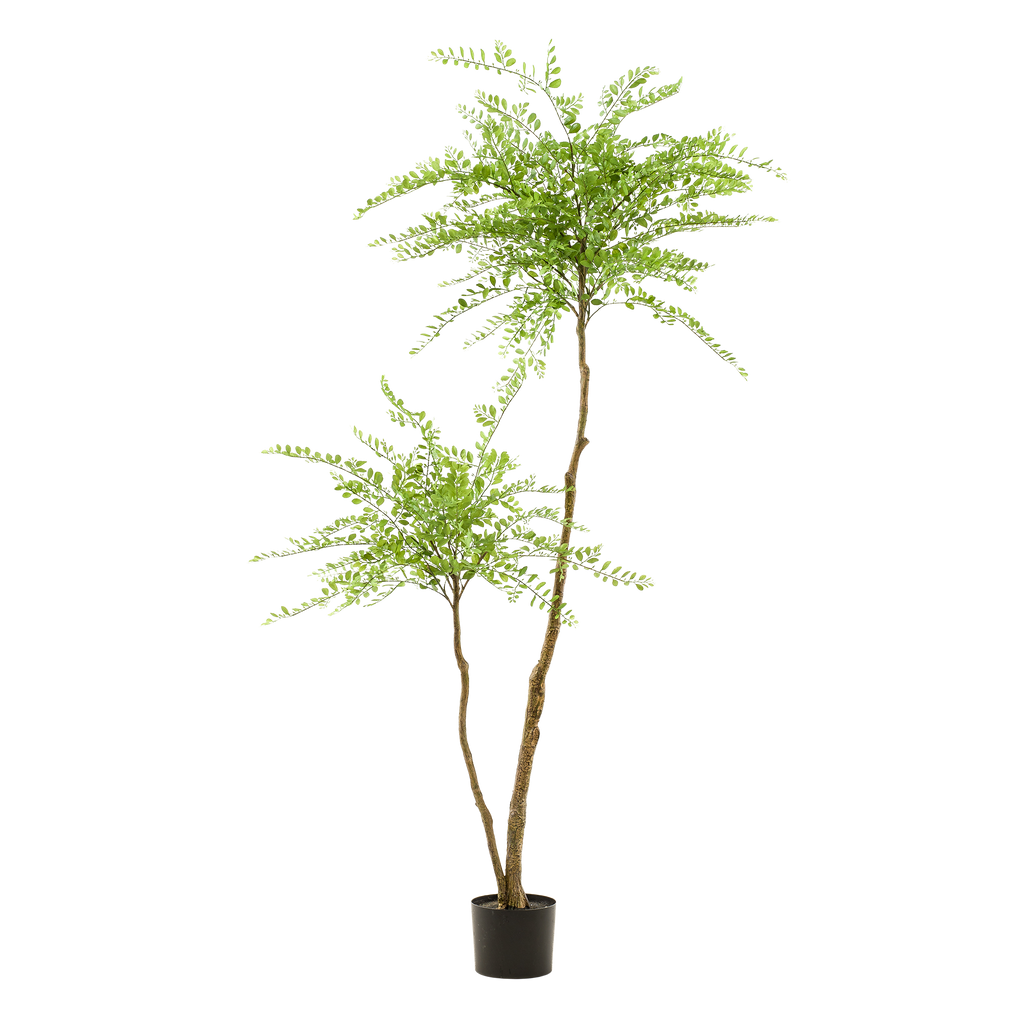 Kunstpflanze, Sophora Baum, Honigbaum, 190 cm