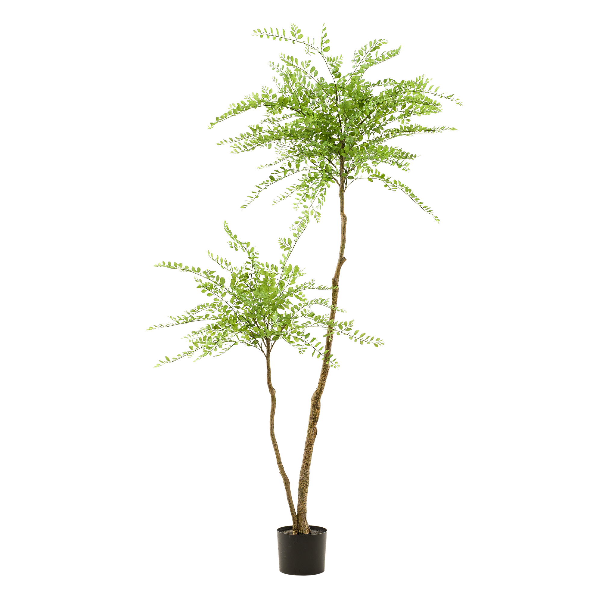 Kunstpflanze, Sophora Baum, Honigbaum, 190 cm