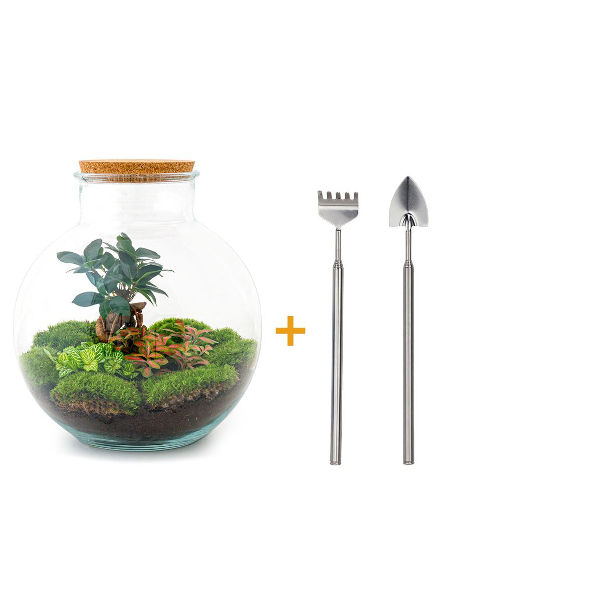 Flaschengarten – Bolder Bob Bonsai – 30 cm – Rechen + Schaufel
