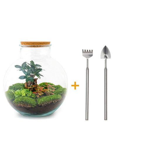 Flaschengarten – Bolder Bob Bonsai – 30 cm – Rechen + Schaufel