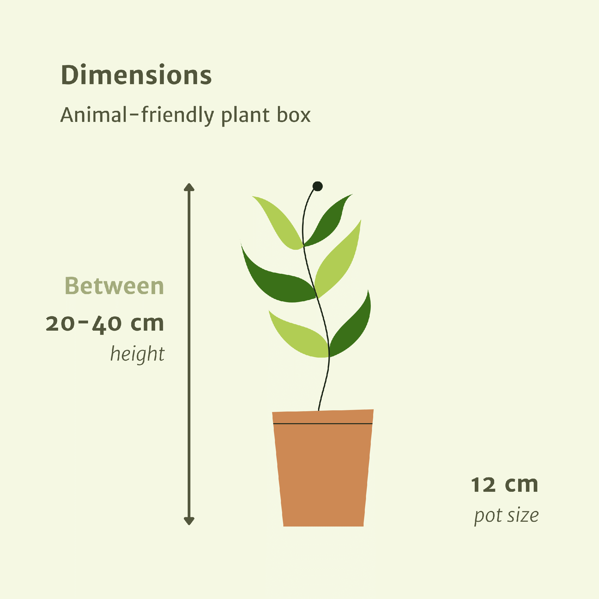 Tierfreundlich Pflanzkiste, 4 Stücke, Ø12 cm, 20-40 cm