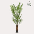 Kunstpflanzen, Areca Lutescens, Goldfruchtpalme, 240 cm