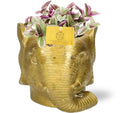Tradescantia Sweetness, Ø10 cm,5 cm, 10 cm + Planter Olifant D11/12x10 cm, Gold