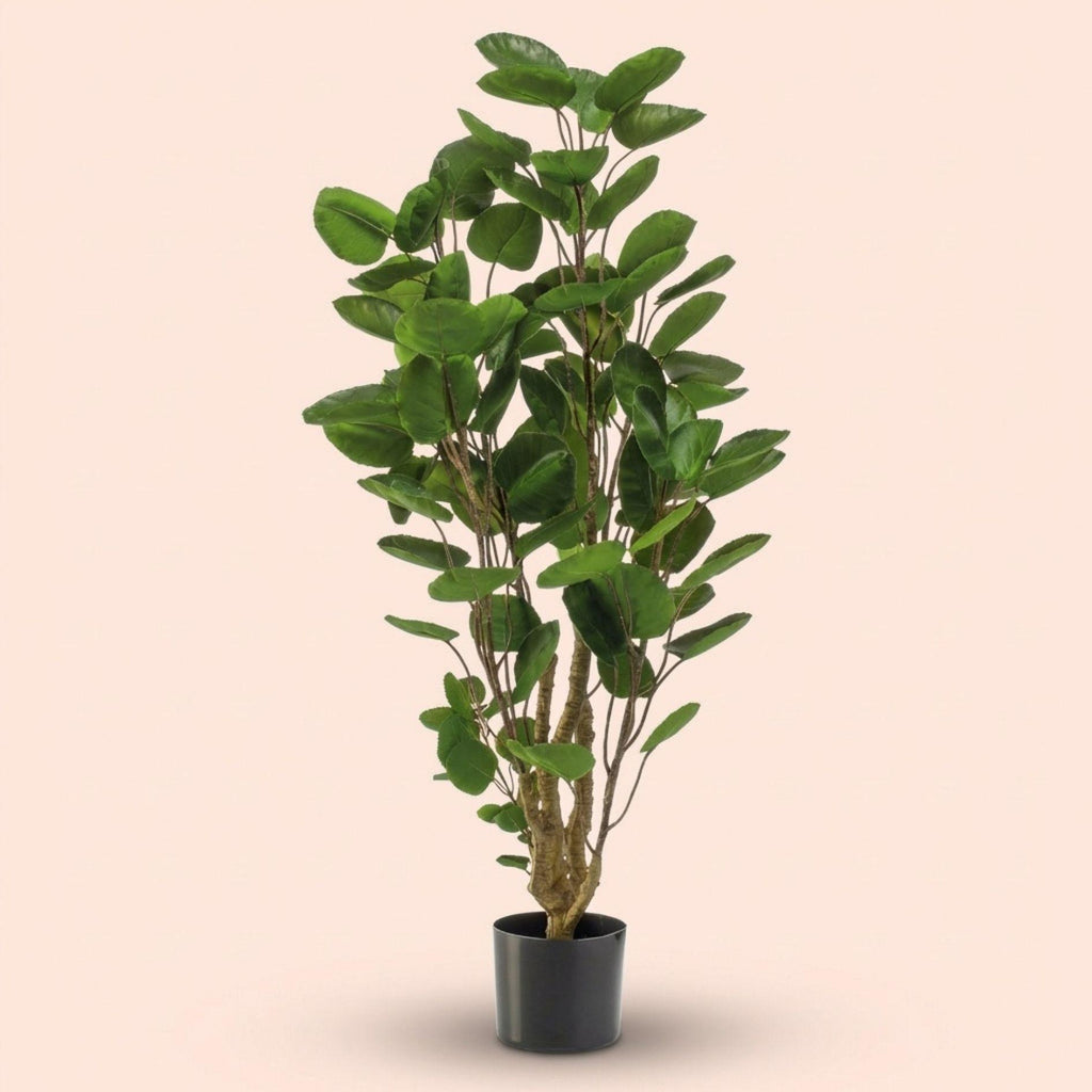 Kunstpflanze Polysciasbaum, 105 cm