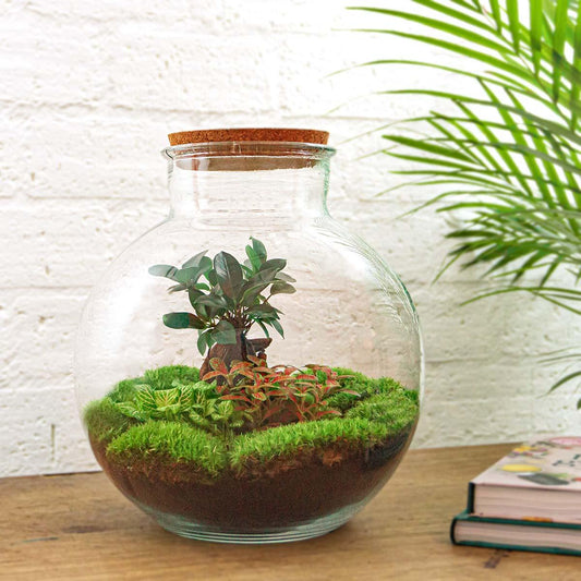 Flaschengarten – Bolder Bob Bonsai – 30 cm – Rechen + Schaufel + Pinzette + Schere
