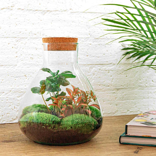 Flaschengarten – sammie coffea – 26 cm – Rechen + Schaufel