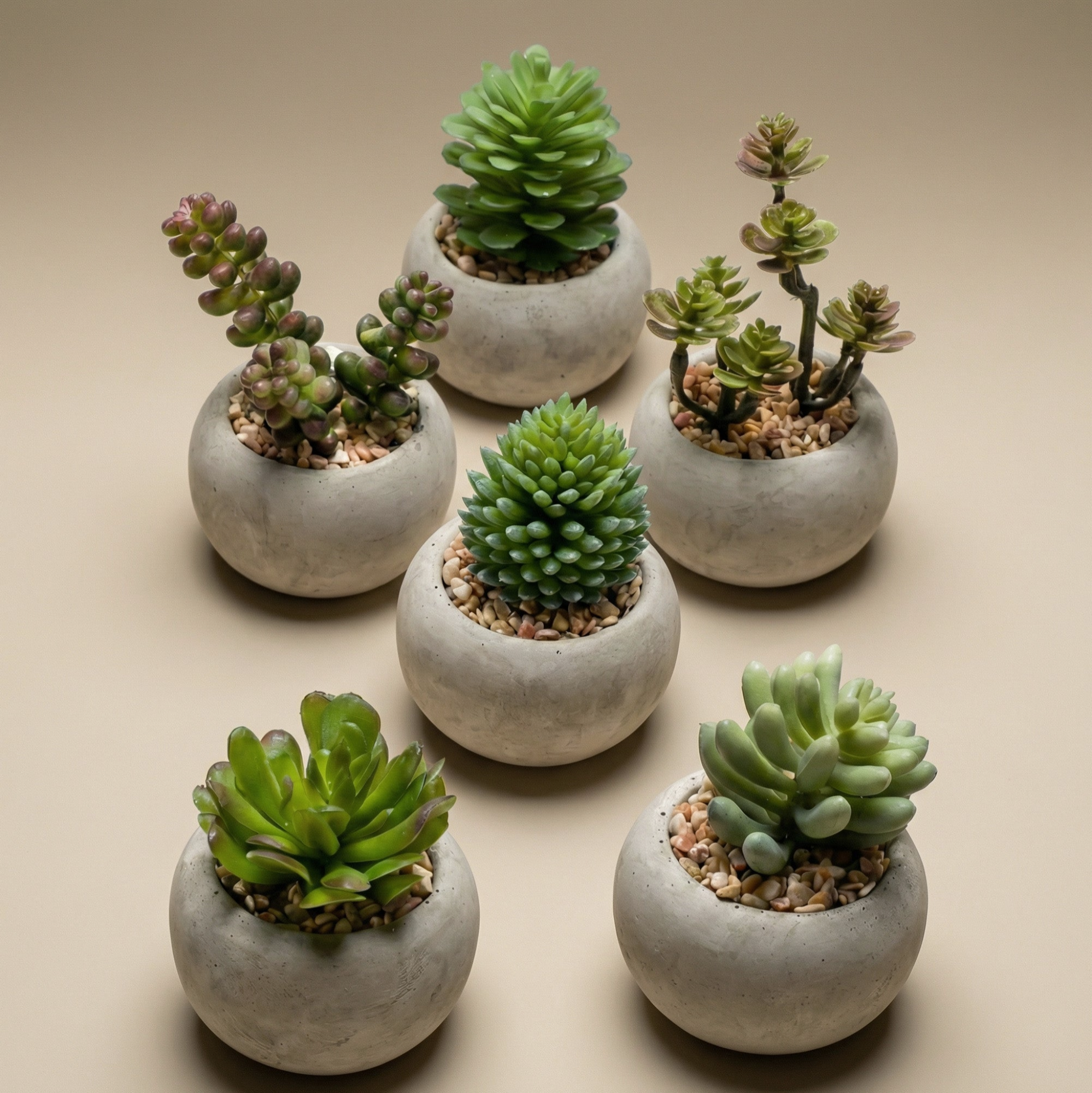 Kunst mini Sukkulenten in cementen Topf, Succulent mix set 6, Ø6,5 cm