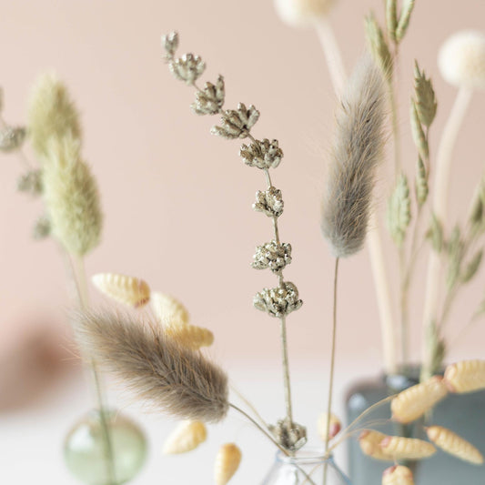 Dried Beauty – Trockenblumen mit Vasen