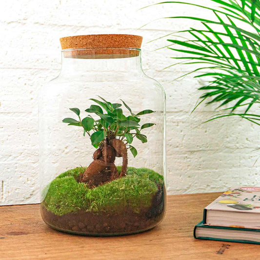 Flaschengarten – Milky mit Bonsai – 30 cm – Rechen + Schaufel