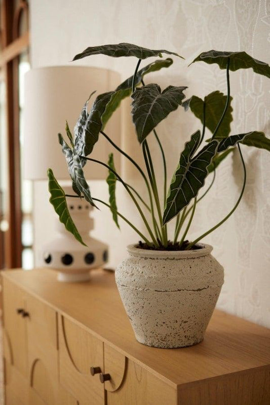 Alocasia – 80 cm – Kunstpflanze