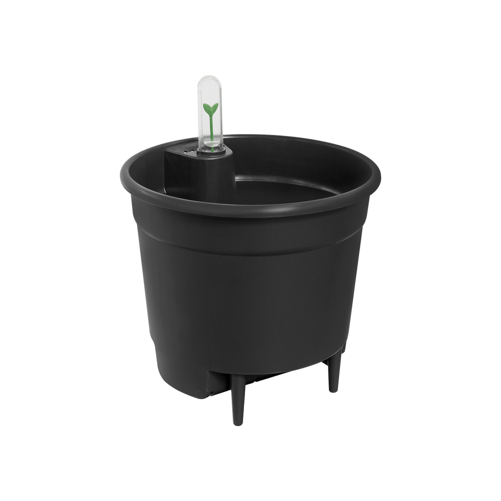 Wasserspeicher-Einsatz – 17 cm - Botanic-Vibes