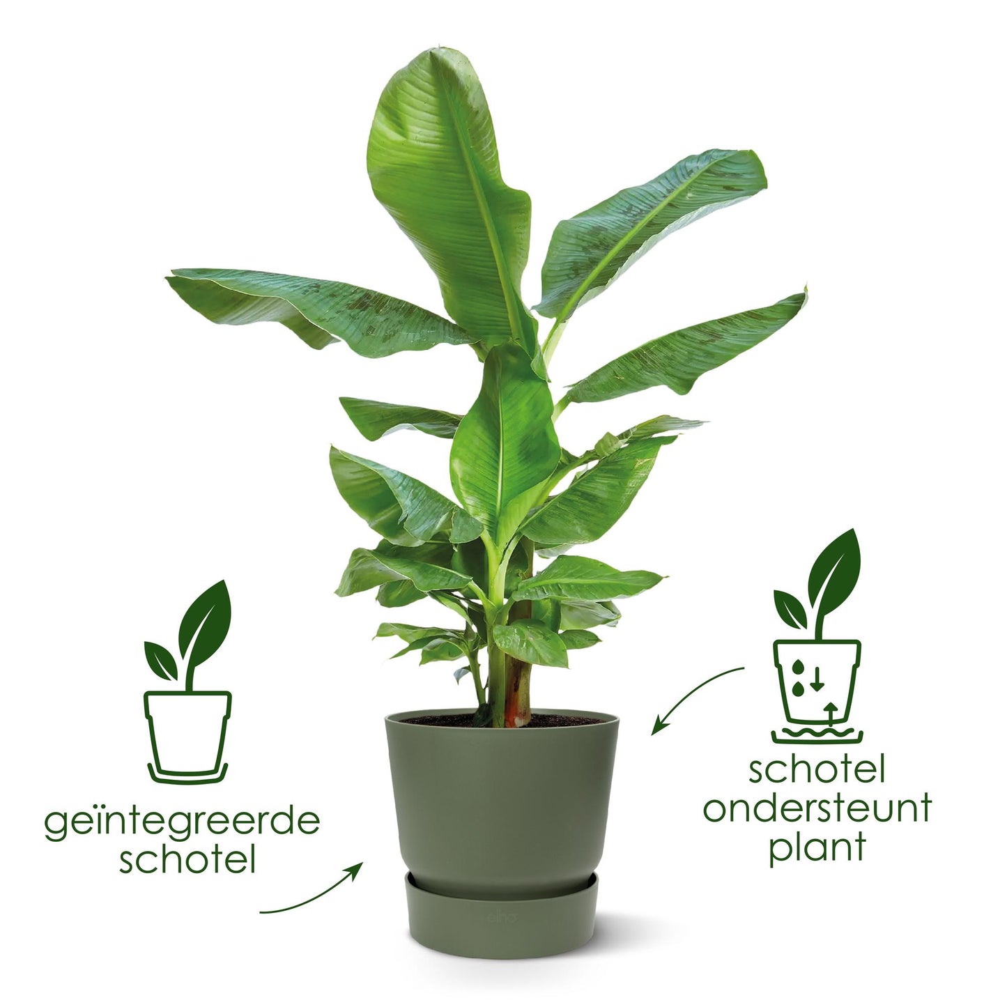 Topf elho Greenville Round Grün – D39 × H37