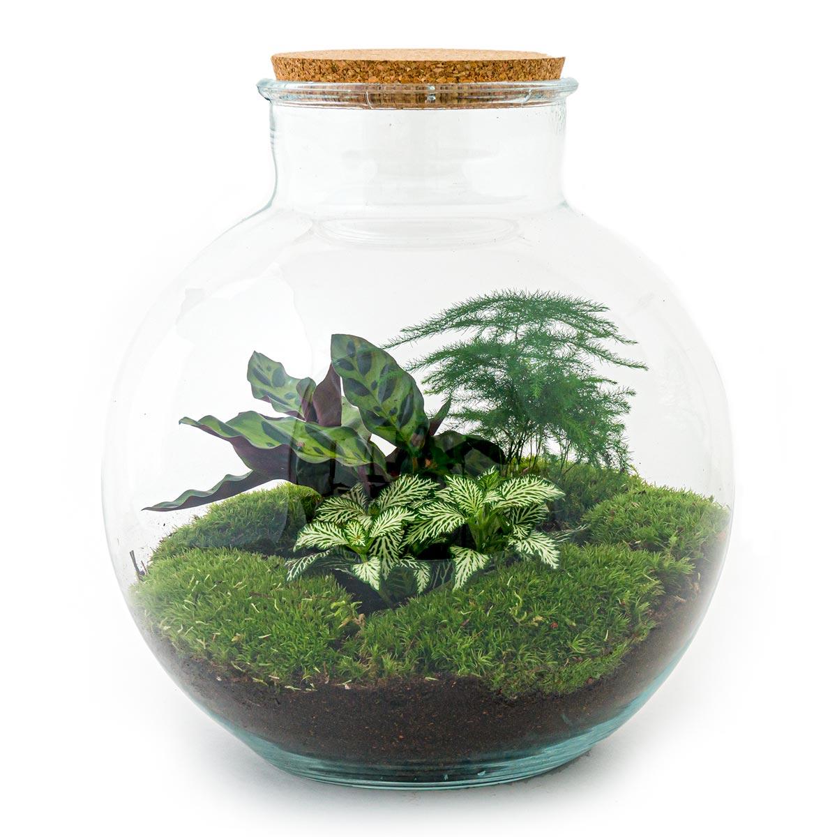 Flaschengarten – Bolder Bob – 30 cm – Rechen + Schaufel + Pinzette + Schere