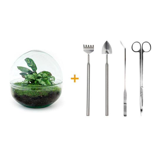Flaschengarten – Dome – 20 cm – Rechen + Schaufel + Pinzette + Schere