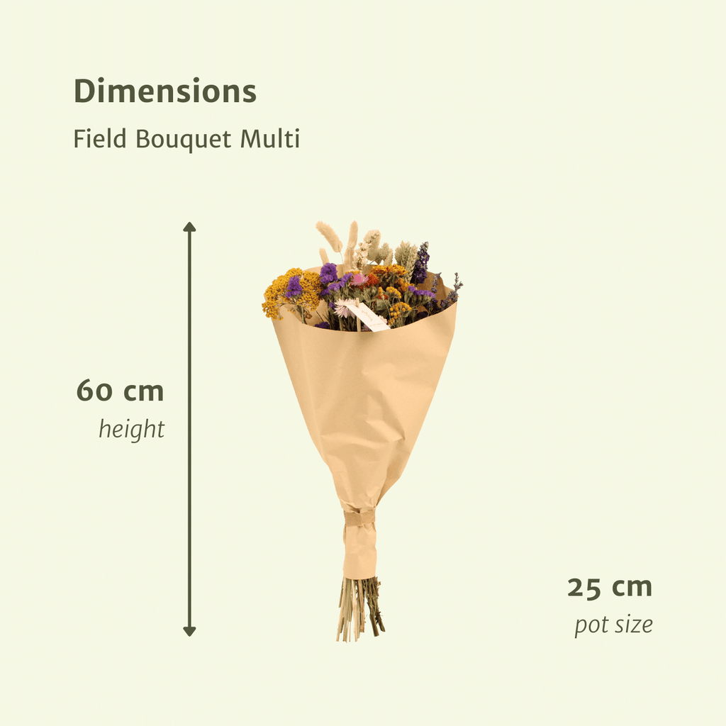 Trockenblumen Feldblumenstrauß Multi