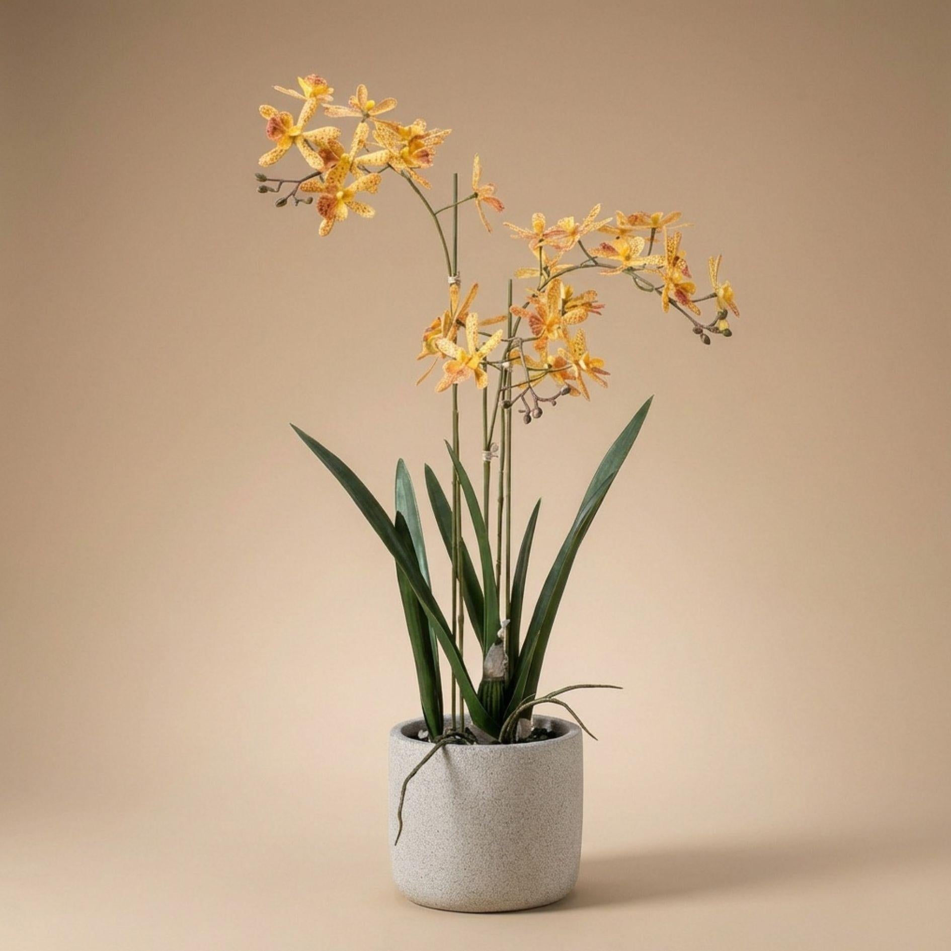 Renanthera Orchidee gelb & Oranje im Topf, 56 cm, Kunstpflanze