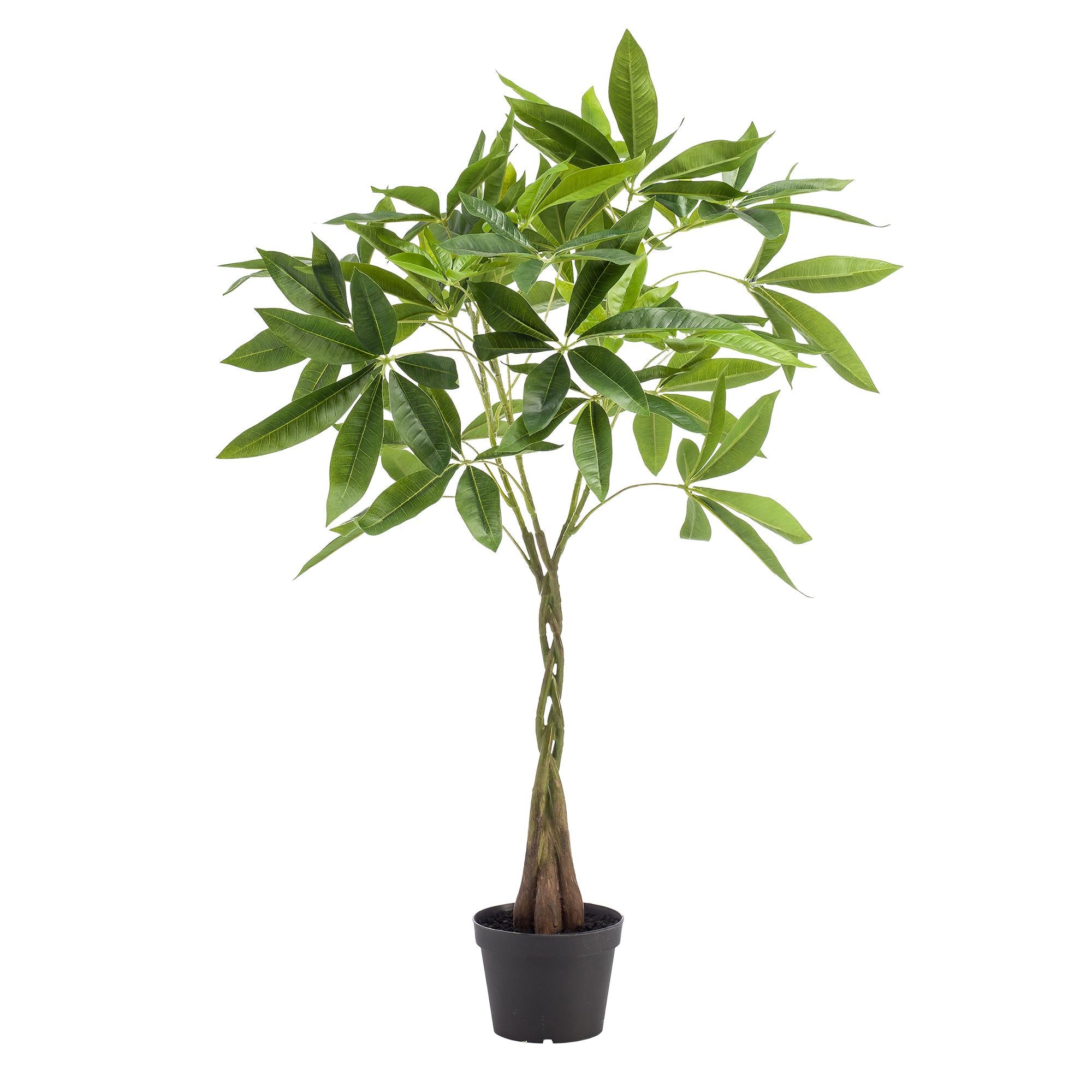 Kunstpflanze, Pachira aquatica, Geldboom, 90 cm