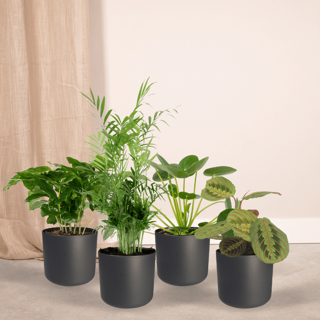 Tierfreundlich Pflanzkiste, 4 Stücke, Ø12 cm, 20-40 cm