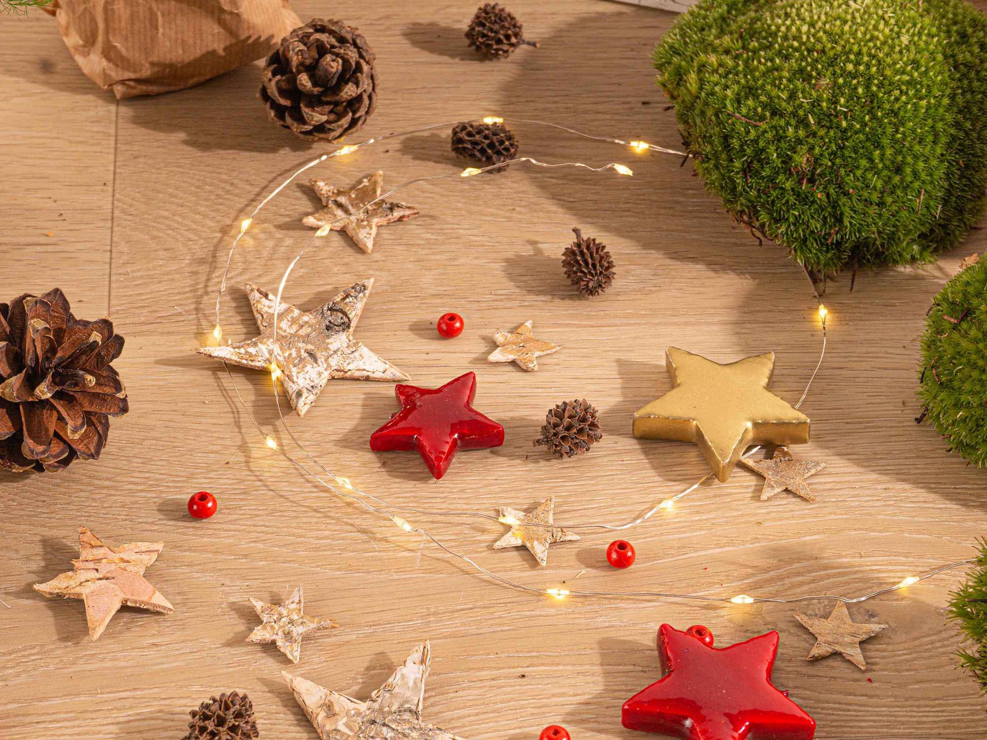 Weihnachts-Terrarium-Deko-Set - Botanic-Vibes