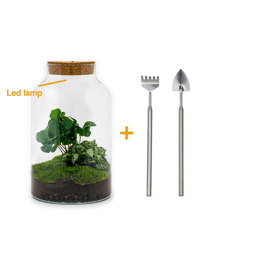Flaschengarten – Milky Coffea mit Lampe – 31 cm – Rechen + Schaufel