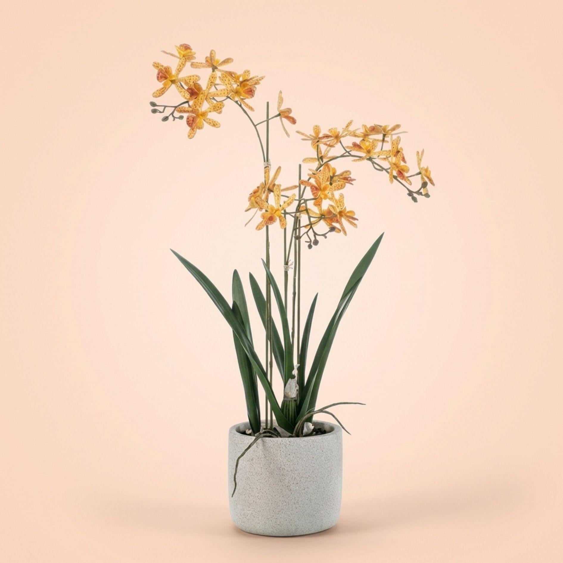 Renanthera Orchidee gelb & Oranje im Topf, 56 cm, Kunstpflanze